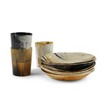  Horn Plate